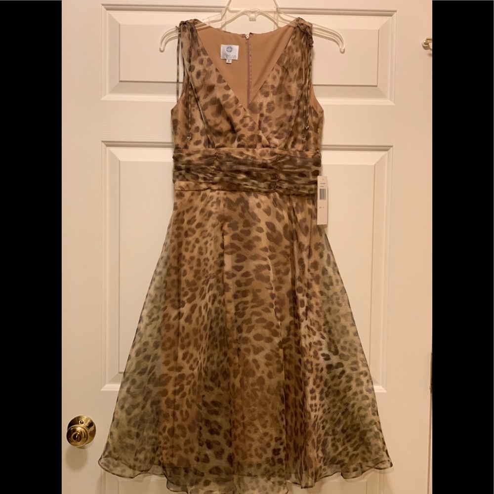 NWT Patra Animal Print Dress